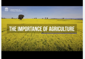 importance of agriculture