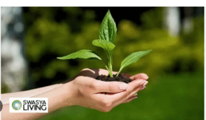importance of agriculture