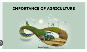 importance of agriculture